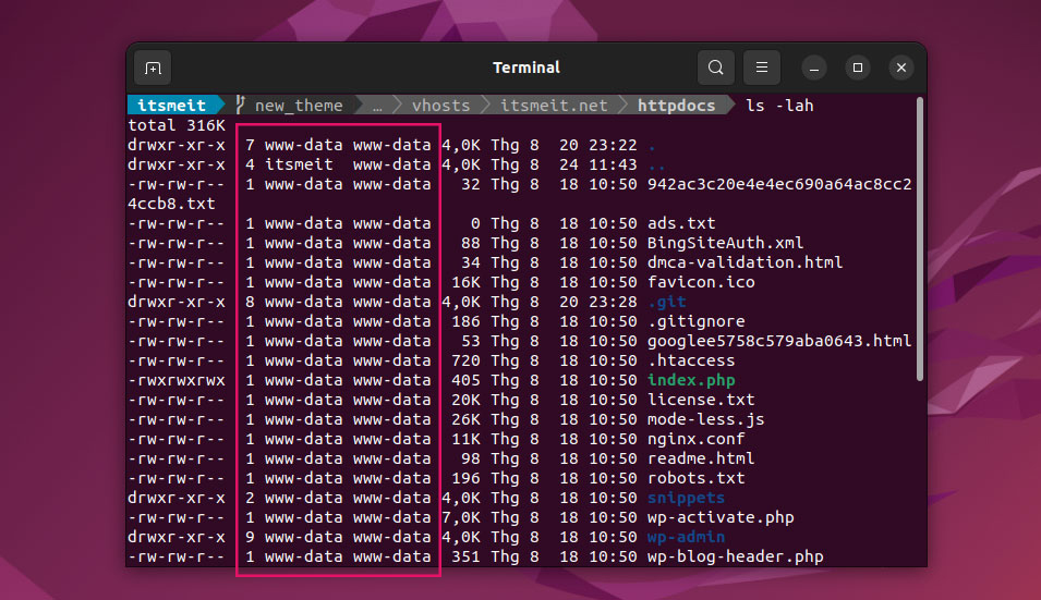 Check file and directory ownership