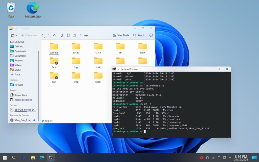 Wubuntu 11 Cinnamon