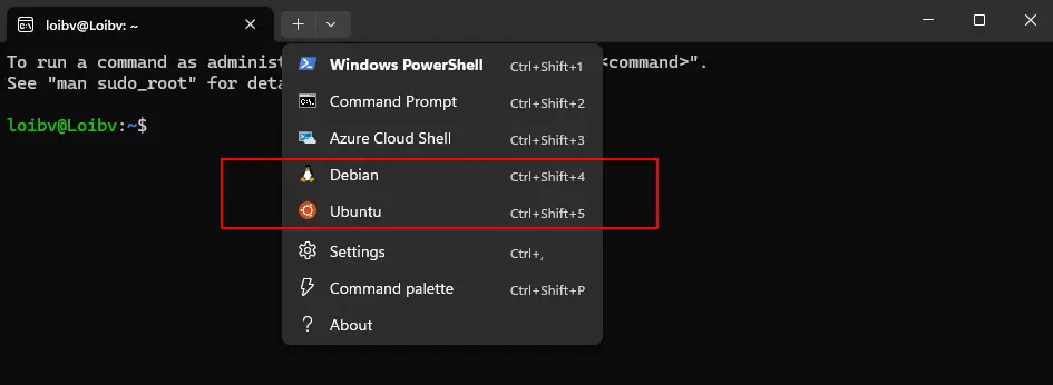 Select Debian or Ubuntu from the terminal